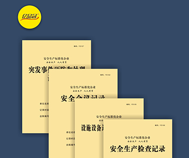 安全生产检查记录系列